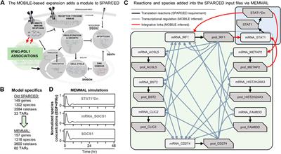 MEMMAL: A tool for expanding large-scale mechanistic models with machine learned associations and big datasets